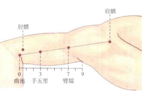 臂儒穴